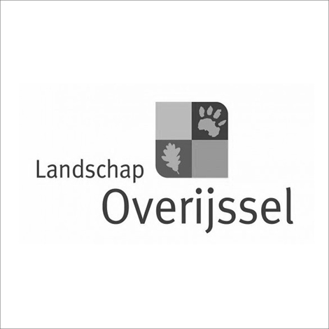 Landschap Overijssel