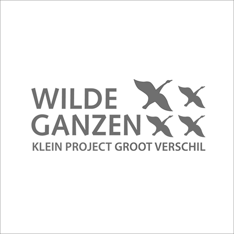 Wilde Ganzen