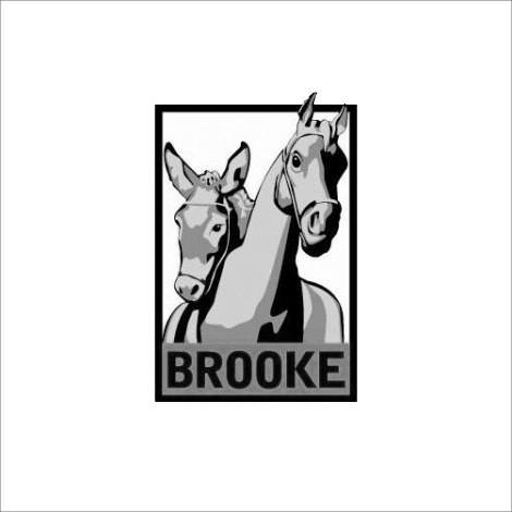 Brooke Hospital for Animals